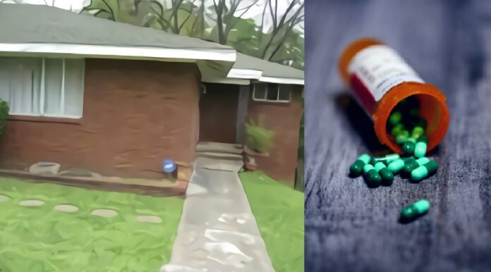 wefwefwewedwed