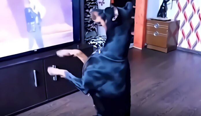 wewegergergerge