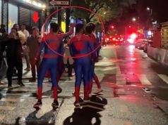 Viral Video Shows How a Spider-Man No Way Home Meme Halloween Costume Was Pulled...