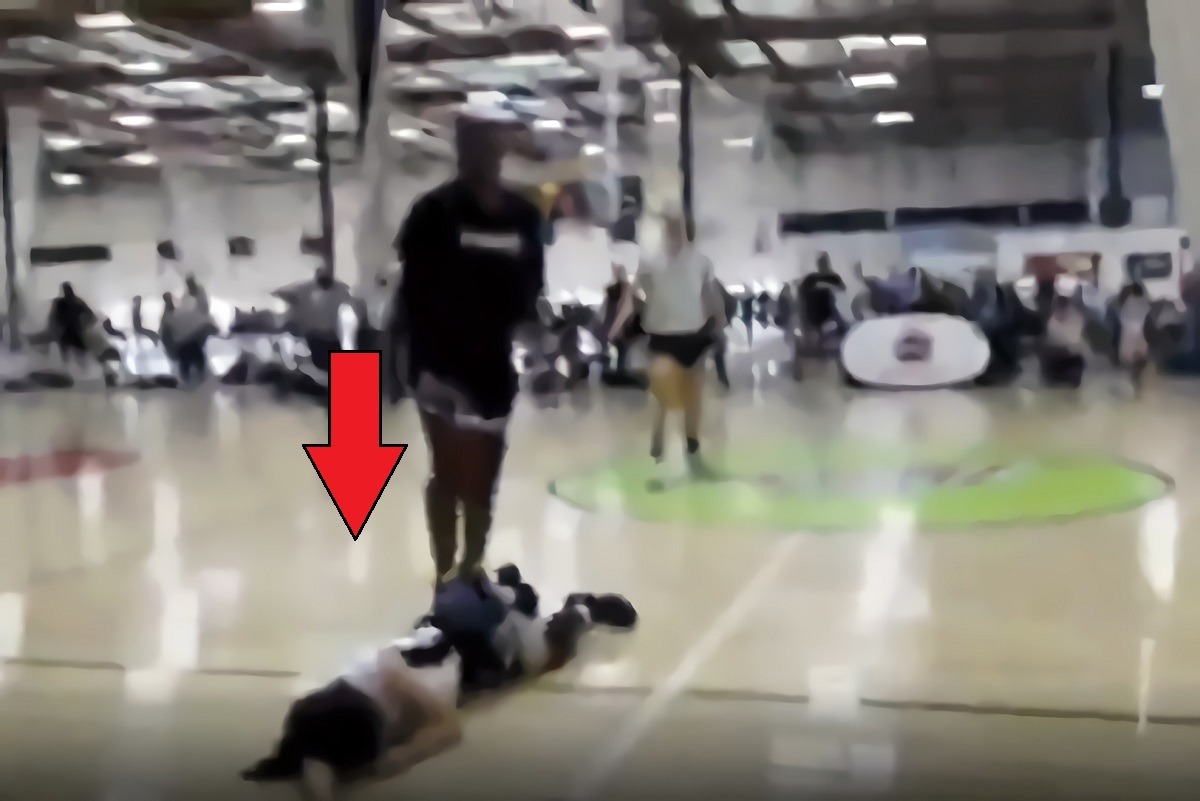15-year-old Girl Lauryn Ham Suffers Brain Injury After Sucker punch Knockout at California OC youth Basketball Game