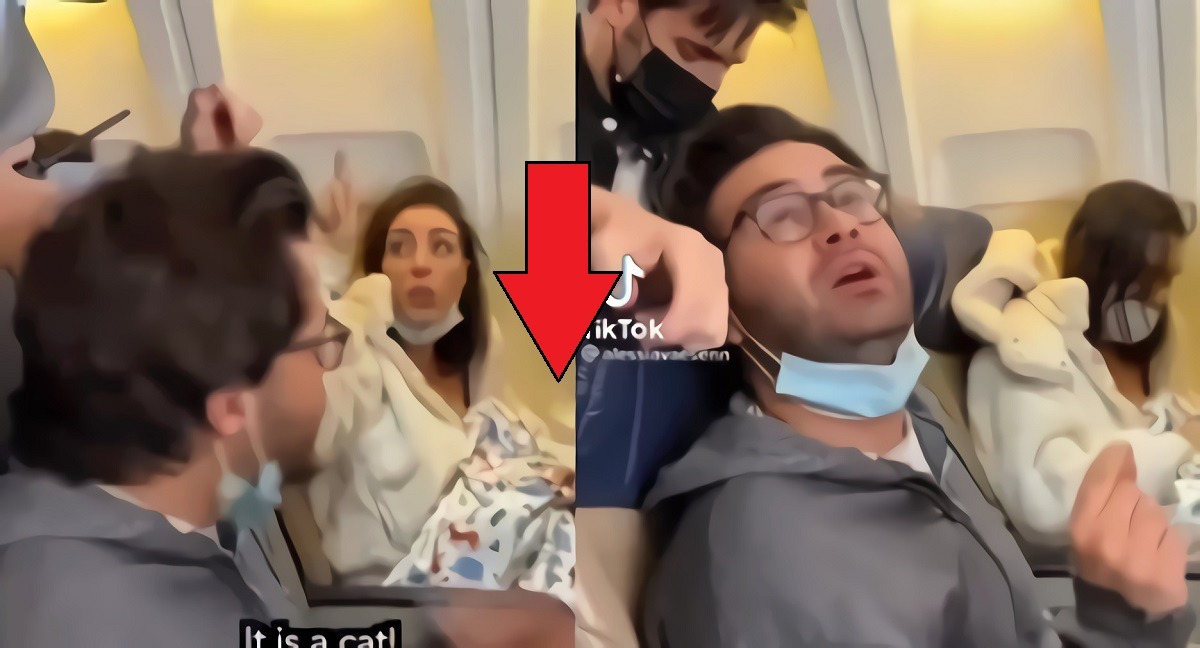 Woman breastfeeding cat on plane tiktok