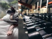 Here is Why the Viral Ripped Sphynx Cat Has So Much Muscle