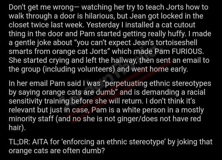 Orange Cat Jorts Goes Viral After Reddit AITA for 'Perpetuating Ethnic Stereotypes about Jorts' Thread about Coworker Pam. The Sad Look in Orange Cat Jorts' Eyes Sends Emotional Pain