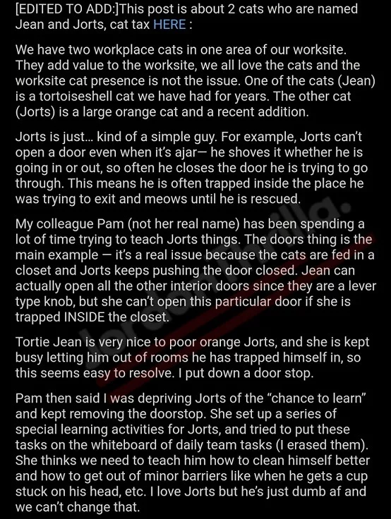 Orange Cat Jorts Goes Viral After Reddit AITA Thread About Workplace Racial Insensitivity Trends
