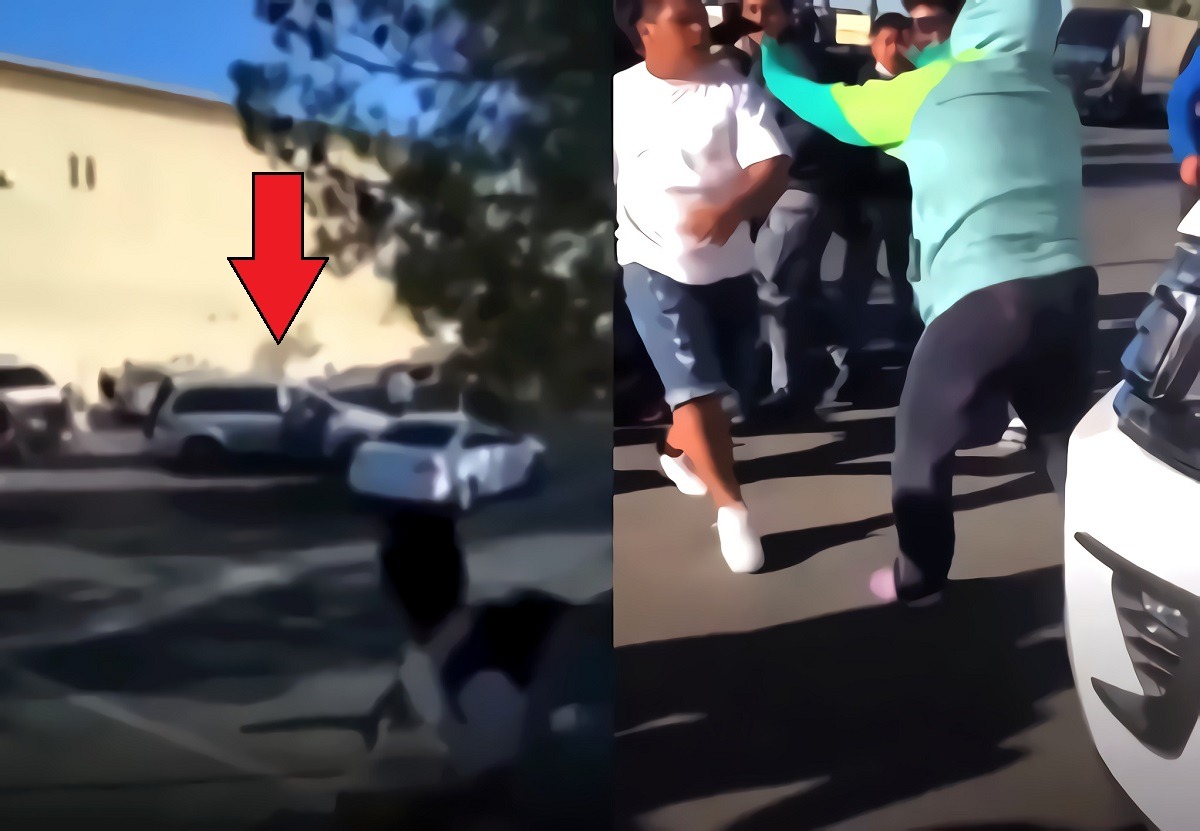 Details on Why a Black Mother Ran Over Kids with a Minivan at Silvestri Middle School in Las Vegas. Video of black mother fighting a student from Silvestri Middle School.