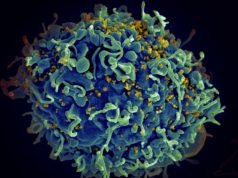 Did Moderna HIV Vaccine Make HIV Mutate? HIV VB Variant in Netherlands Sparks Mo...