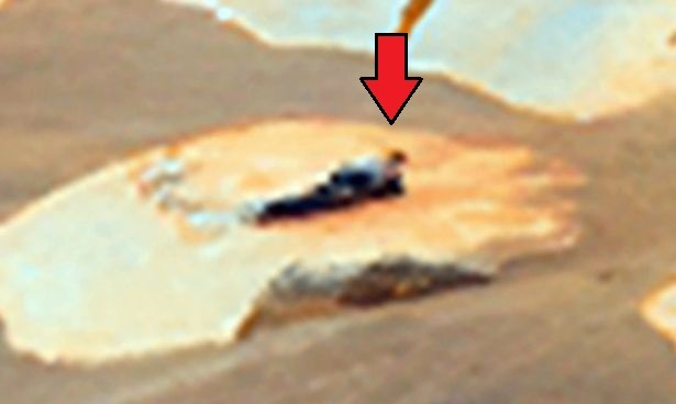 Was a Pink Alien Watching Mars Rover in Recent NASA Images of Mars? Details Behind the Mars Rover UFO Conspiracy Theory. Evidence of Pink Alien nears Mars Rover in NASA images.