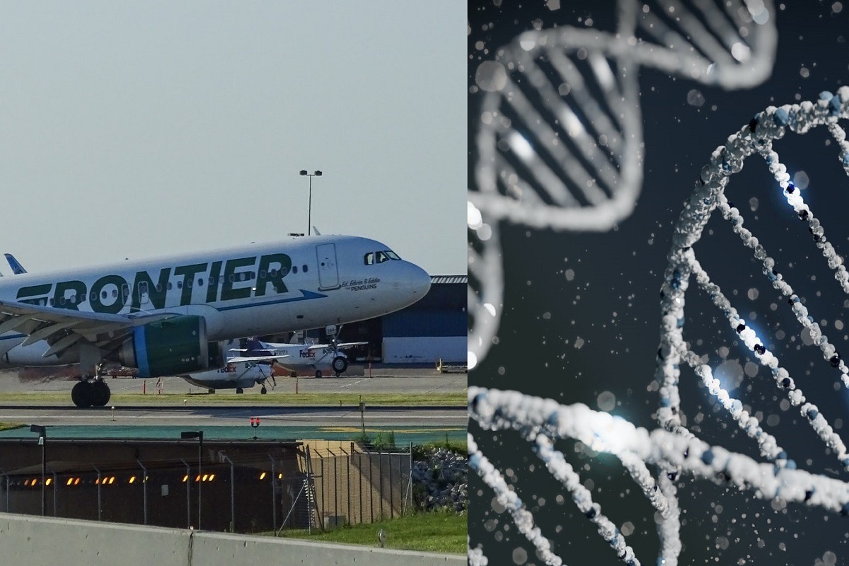Did a Woman Stealing DNA start a Frontier Airlines Fight Leading to an Emergency Landing? Details Inside. Frontier Airlines Fight Brawl Causes Plane to Emergency Land.