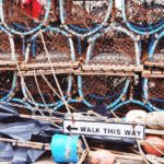 3 Quick Steps to Become a Crab Fisherman in BitLife Life Simulator Game