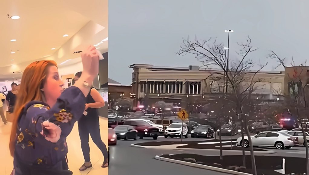 Delaware-Christiana-Mall-shooting-video-5