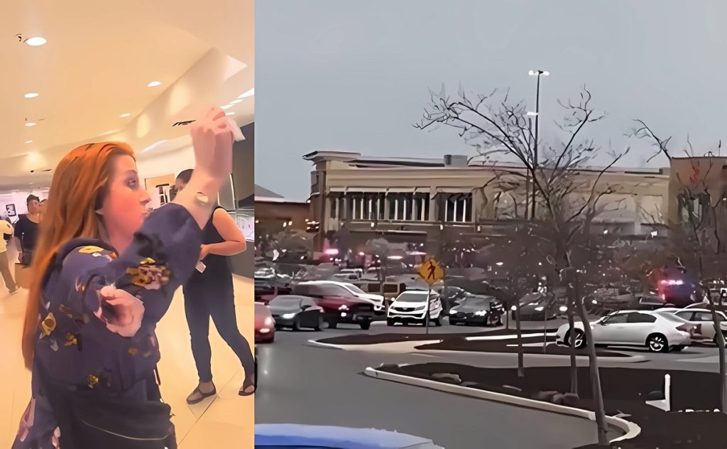 Video Aftermath of Mass Shooting at Delaware's Christiana Mall Shows People Running and Hiding For Lives