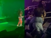 Video: Social Media Reacts to Fight at Erykah Badu Concert Involving Several Women