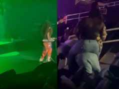 Video: Social Media Reacts to Fight at Erykah Badu Concert Involving Several Wom...