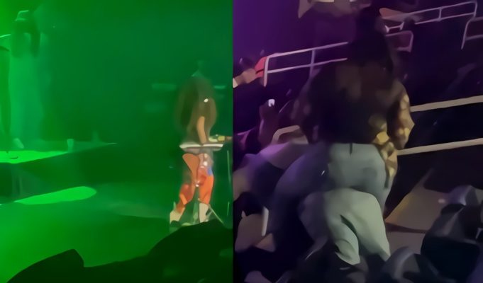 Video: Social Media Reacts to Fight at Erykah Badu Concert Involving Several Women