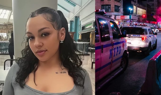 Madison-Faltisco-gofundme-page-2