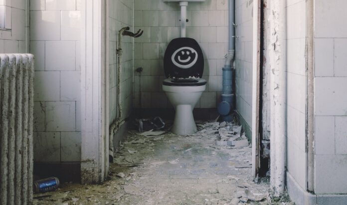 Skibidi Toilet syndrome