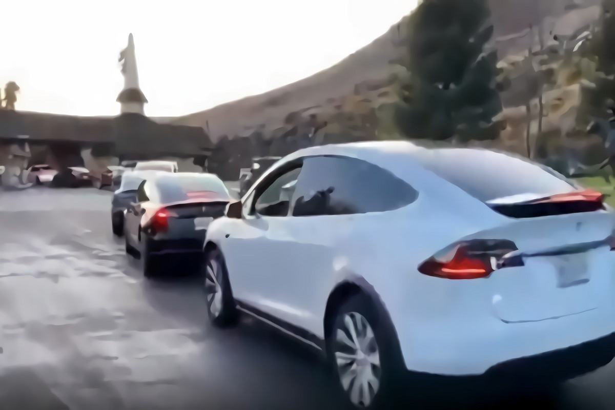 Video Showing Long Tesla Charging Line in California Sparks Fear Among Potential Electric Car Buyers