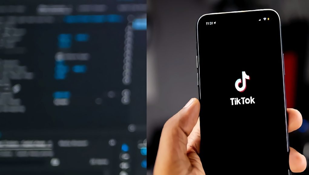 Was TikTok's Database Hacked? Alleged TikTok Data Breach Goes Viral