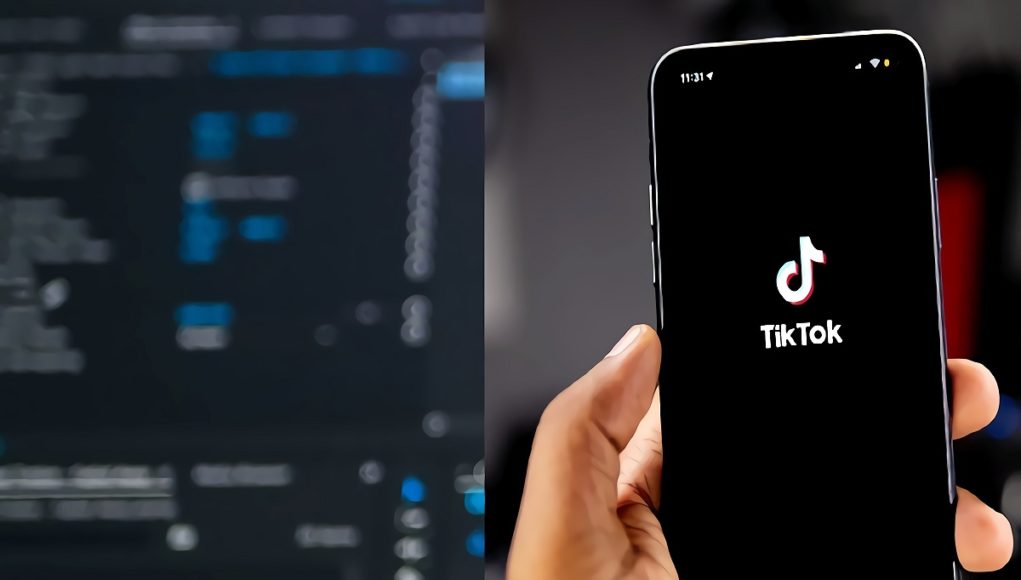 TikTok-data-breach-4