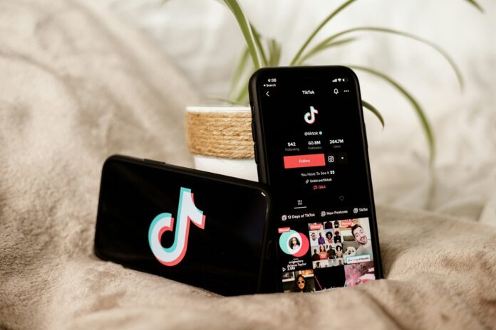 Tiktok-launching-new-stem-feed-conspiracy