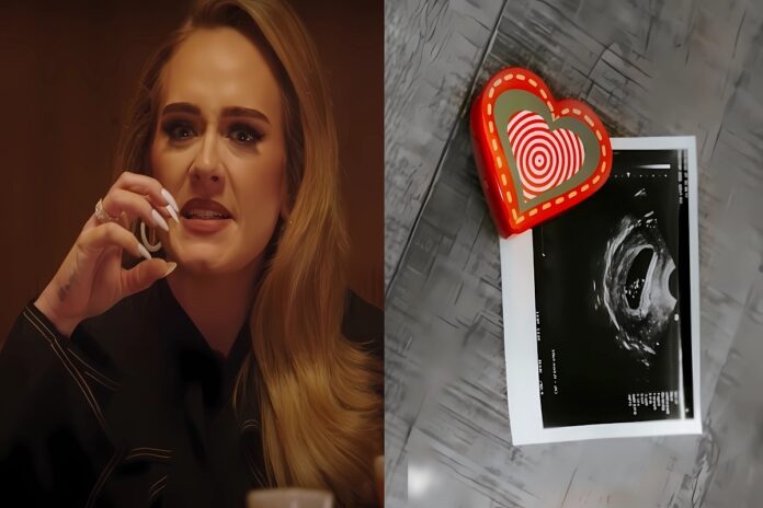 adele-pregnant-conspiracy-2