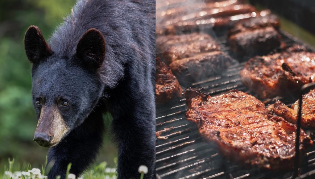 black-people-grilling-bear-meat