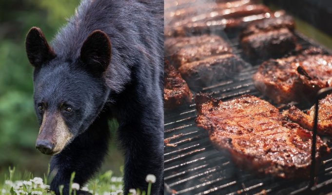 black-people-grilling-bear-meat