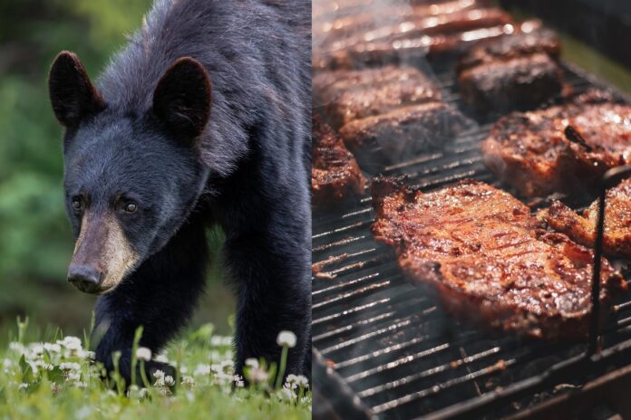 black-people-grilling-bear-meat