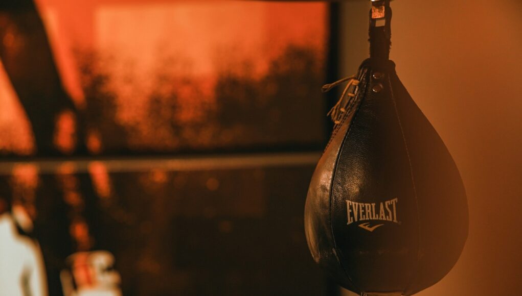 boxing-punching-bag