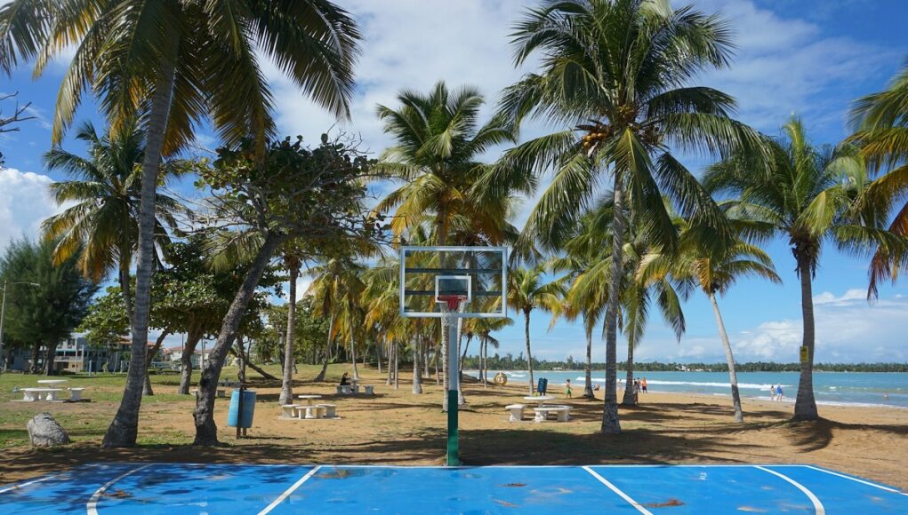 bryce-james-nba-2k24-build-park-basketball-court-beach