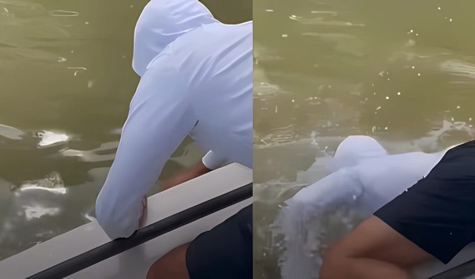 Scary Video Shows Fisherman Getting Attacked by Bull Shark at Everglades National Park After it Dragged Him Off His Boat