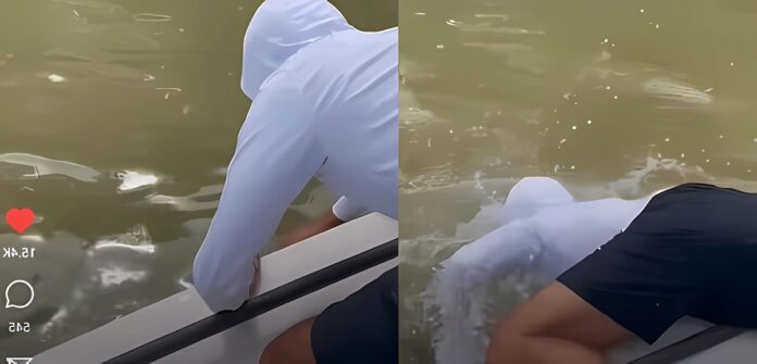bull-shark-attack-everglades-national-park