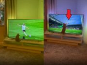 Video of Cute Cat Playing Goalie with TV Screen During Soccer Game Goes Viral
