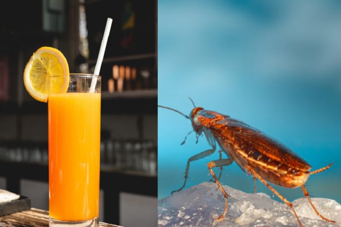 cockroach-blood-tropicana-orange-juice