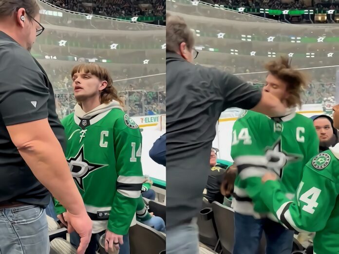 dallas-stars-fan-punched-for-saying-n-word