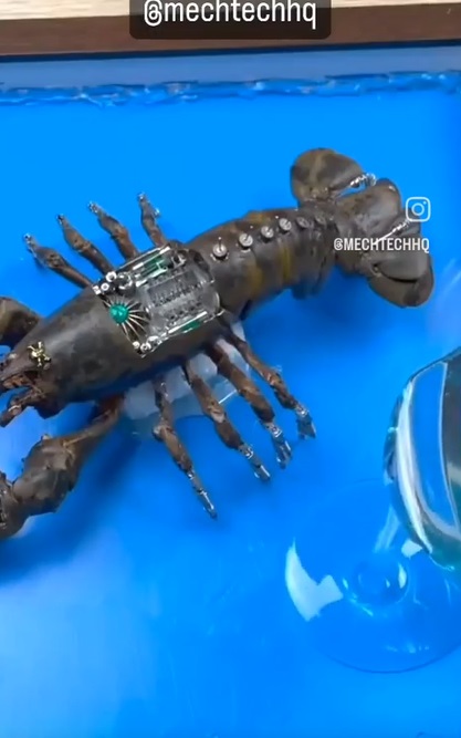 Man Brings Dead Lobster Back to Life as a Lobster Robot in Creepy Lobstercons Video