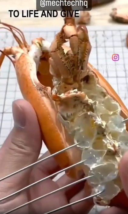 Man Brings Dead Lobster Back to Life as a Lobster Robot in Creepy Lobstercons Video