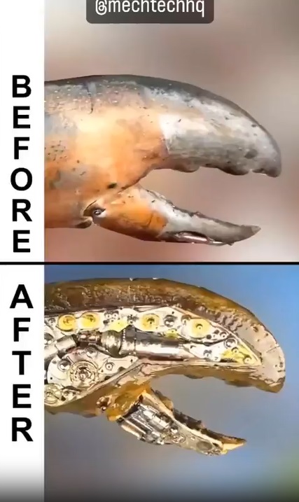 Man Brings Dead Lobster Back to Life as a Lobster Robot in Creepy Lobstercons Video