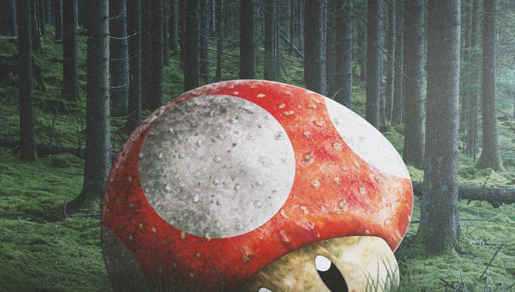 dead-mario-mushrooms-1