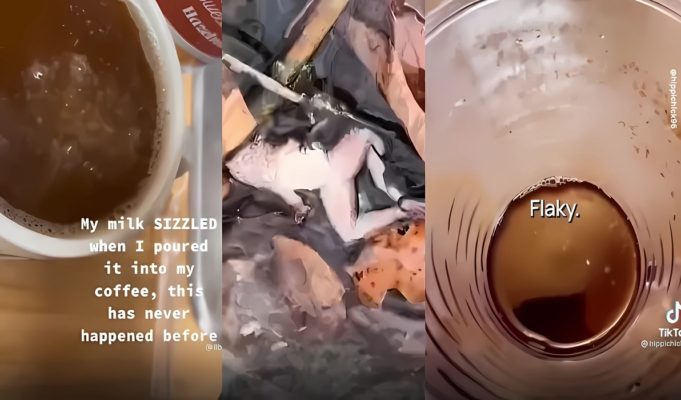 New Ohio Water Videos Showing Milk Sizzling, Chemical Flakes Forming in Tea, and White Solids Forming in Boiling Water Spark Mike DeWine East Palestine Government Cover-Up Conspiracy Theory