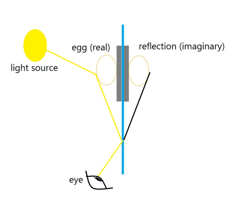 How Does the Mirror Know an Object is There? Scientific Explanation Behind Viral Egg Paper TikTok Video