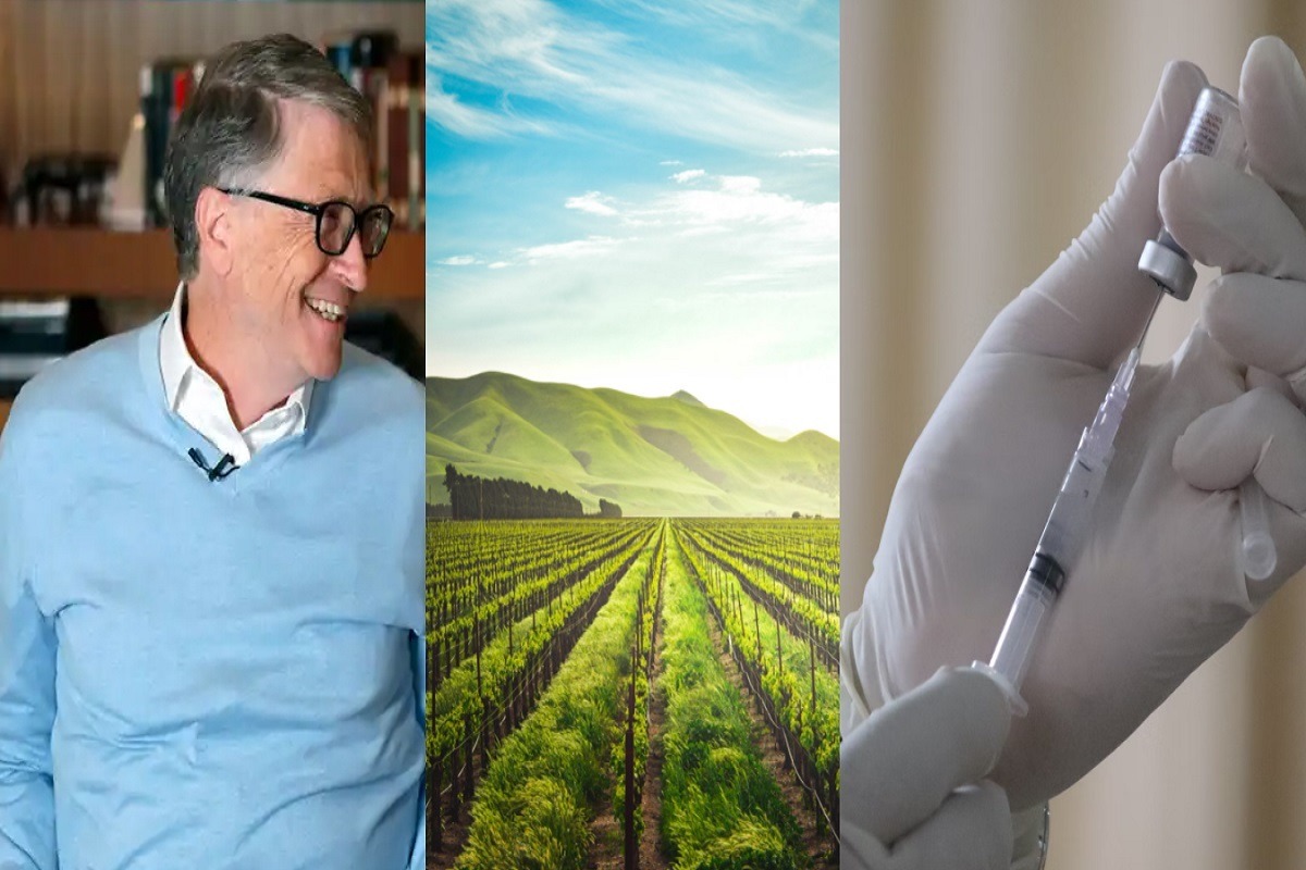 Details Behind the Bill Gates Farmland Vaccine Conspiracy Theory