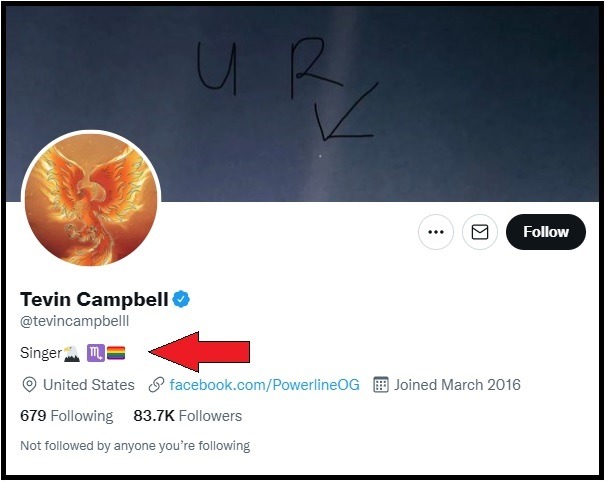Tevin Campbell's Gay Tweet Sparks Strange Conspiracy Theories. Did the Alleged "Gay Agenda" Brainwash Tevin Campbell?
