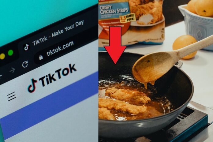 fda-nyquil-chicken-tiktok-reaction-7