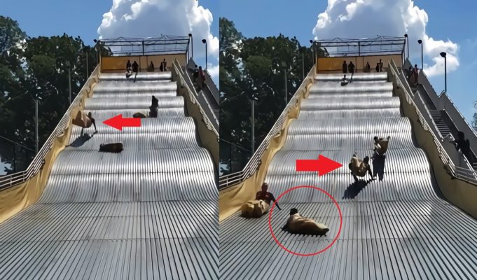 Video: Painful Giant Slide at Belle Isle Park in Michigan Causes Riders to Bounce Uncontrollably Before Emergency Shut Down