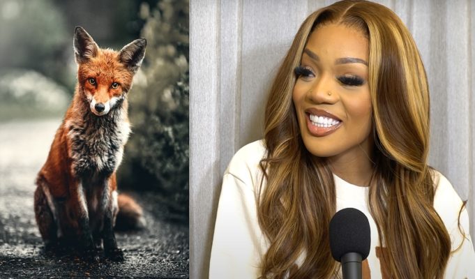 Video Showing Glorilla Finding Out Foxes are Real for First Time in United Kingdom Goes Viral