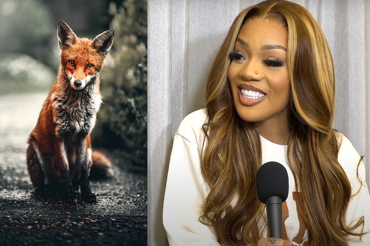 Video Showing Glorilla Finding Out Foxes are Real for First Time in United Kingdom Goes Viral