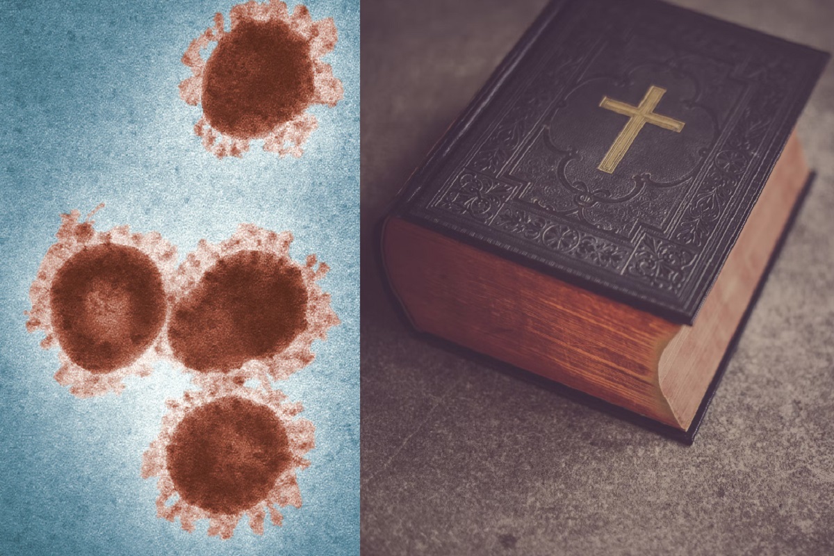 Details on Viral Conspiracy Theory God is Using Monkeypox to Punish Gay People