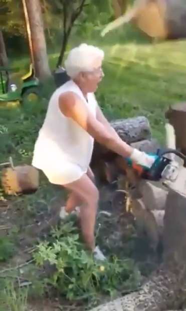 Grandmother with 9 live narrowly avoids getting crushed by a tree while cutting it down.