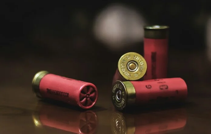 gunshells